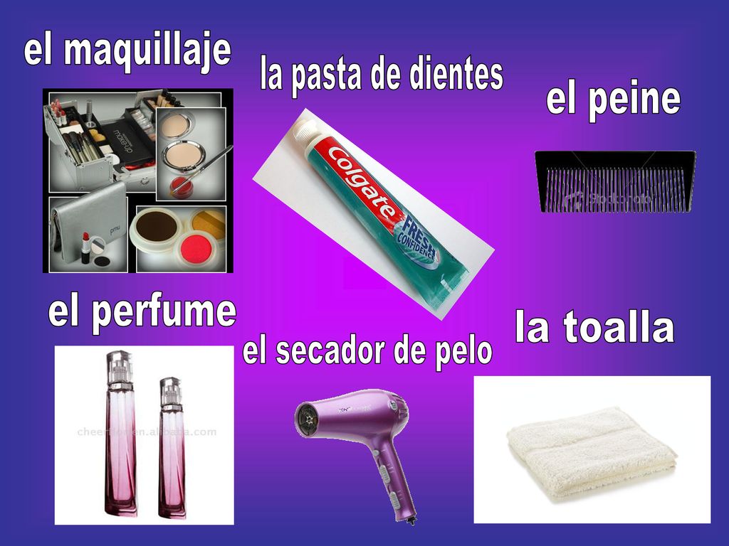 el maquillaje la pasta de dientes el peine el perfume la toalla el secador de pelo