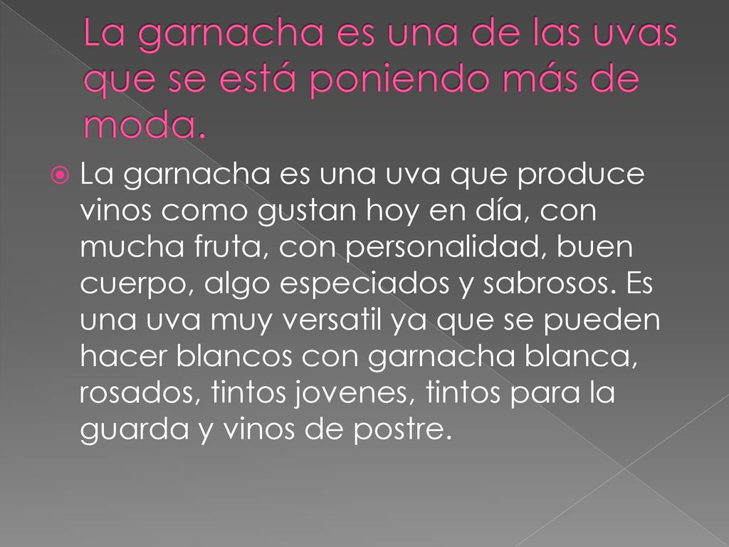La garnacha es una de las uvas que se está poniendo más de moda.