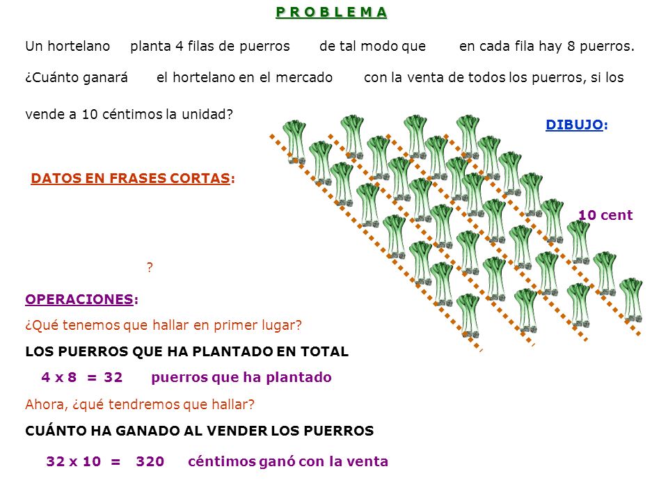 P R O B L E M A Un hortelano. planta 4 filas de puerros. de tal modo que. en cada fila hay 8 puerros.
