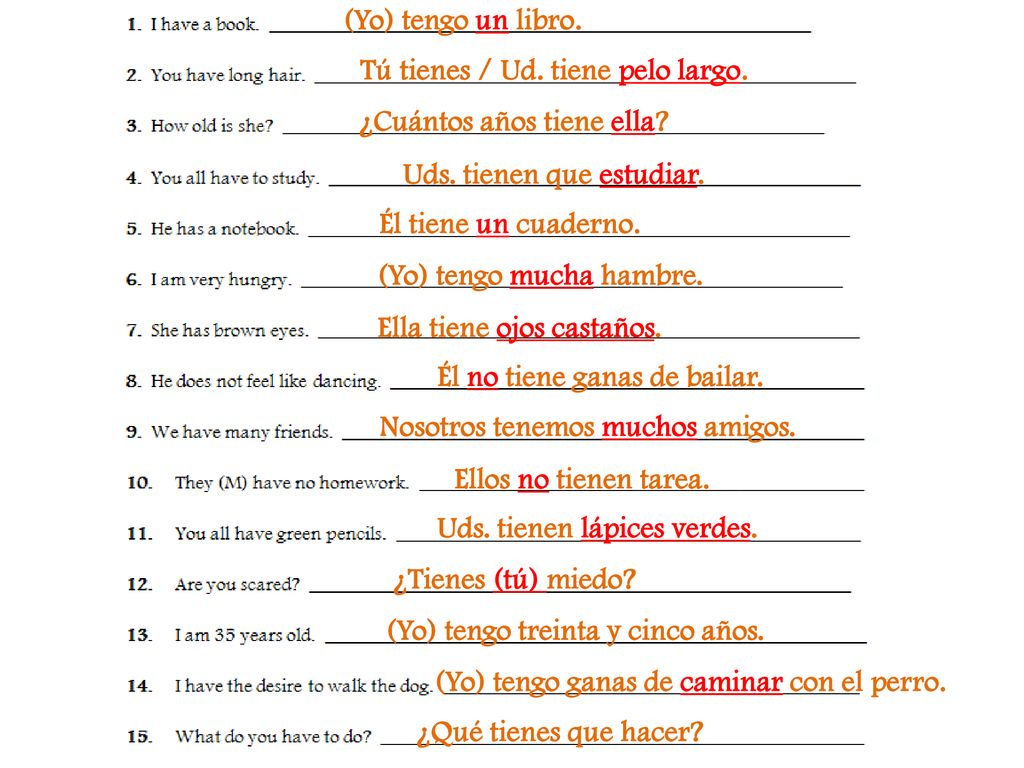 (Yo) tengo un libro. Tú tienes / Ud. tiene pelo largo. ¿Cuántos años tiene ella Uds. tienen que estudiar.