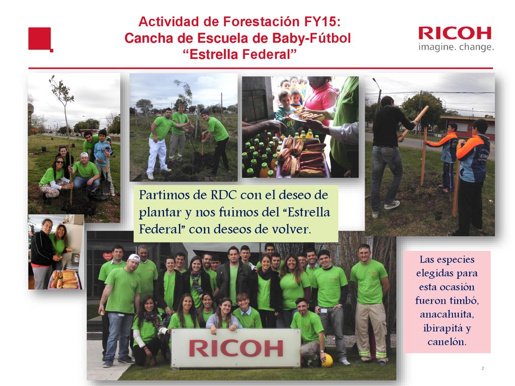 Actividad de Forestación FY15: Cancha de Escuela de Baby-Fútbol