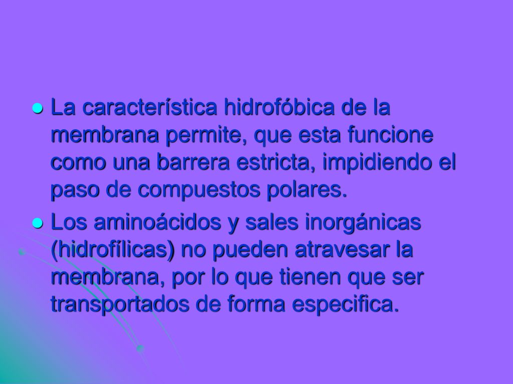 La característica hidrofóbica de la membrana permite, que esta funcione como una barrera estricta, impidiendo el paso de compuestos polares.