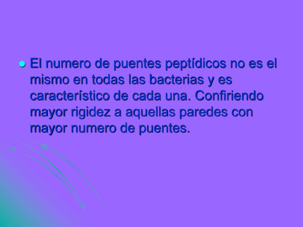 El numero de puentes peptídicos no es el mismo en todas las bacterias y es característico de cada una.