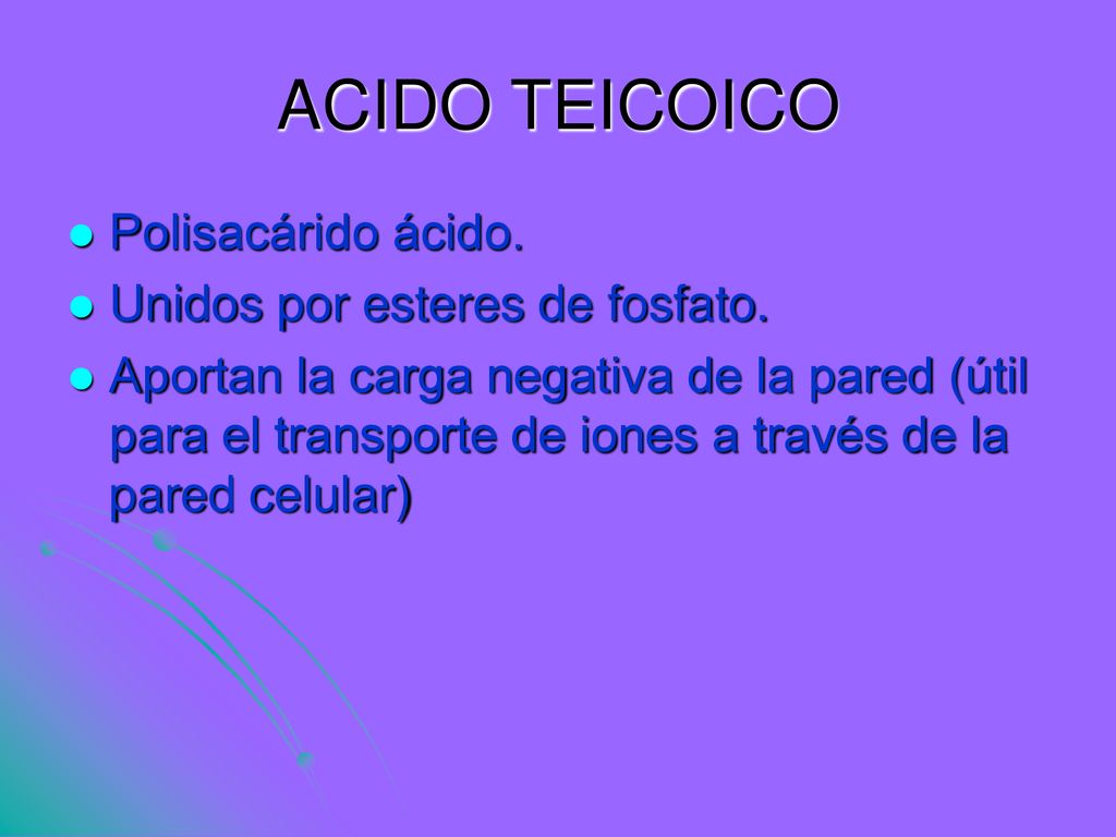 ACIDO TEICOICO Polisacárido ácido. Unidos por esteres de fosfato.