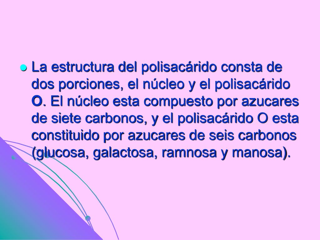 La estructura del polisacárido consta de dos porciones, el núcleo y el polisacárido O.