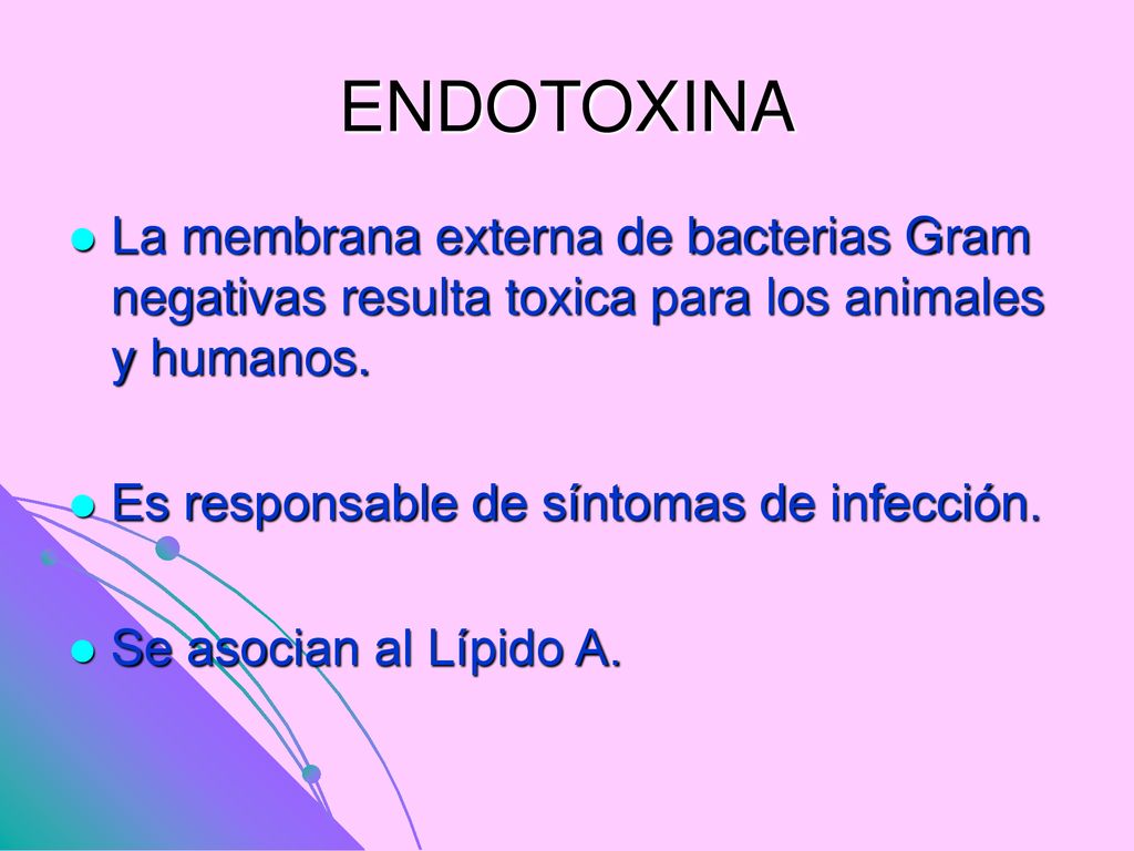 ENDOTOXINA La membrana externa de bacterias Gram negativas resulta toxica para los animales y humanos.