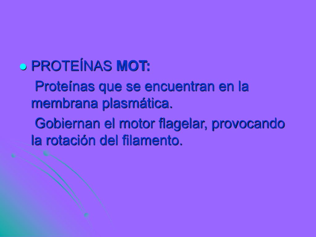 PROTEÍNAS MOT: Proteínas que se encuentran en la membrana plasmática.