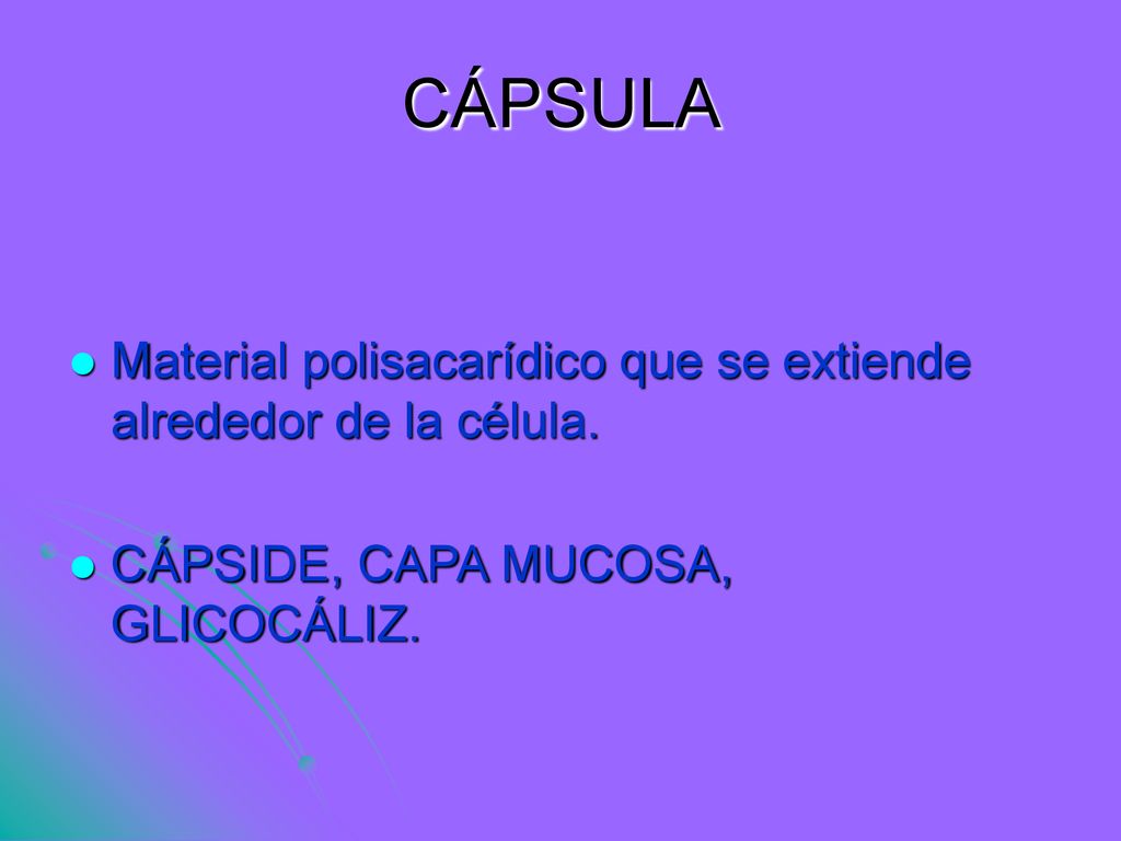 CÁPSULA Material polisacarídico que se extiende alrededor de la célula.