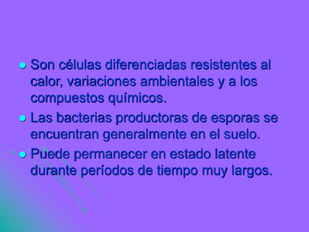 Son células diferenciadas resistentes al calor, variaciones ambientales y a los compuestos químicos.