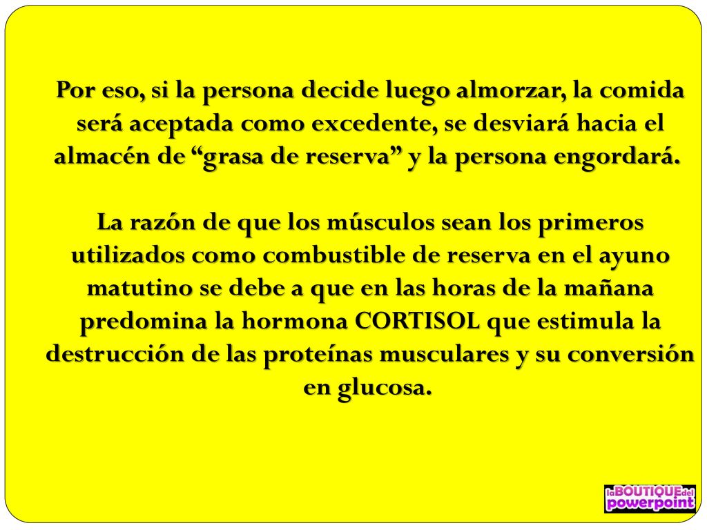 Por eso, si la persona decide luego almorzar, la comida será aceptada como excedente, se desviará hacia el almacén de grasa de reserva y la persona engordará. La razón de que los músculos sean los primeros utilizados como combustible de reserva en el ayuno matutino se debe a que en las horas de la mañana predomina la hormona CORTISOL que estimula la destrucción de las proteínas musculares y su conversión en glucosa.
