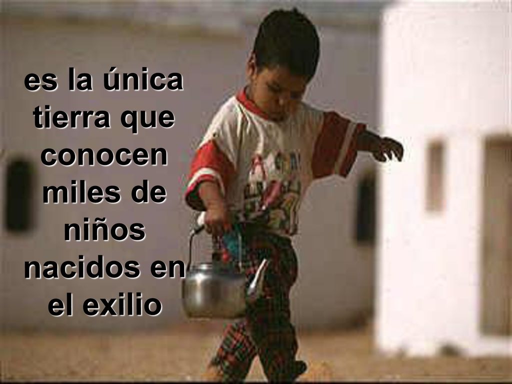 es la única tierra que conocen miles de niños nacidos en el exilio