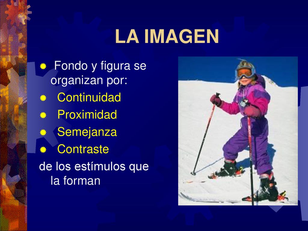 LA IMAGEN Fondo y figura se organizan por: Continuidad Proximidad