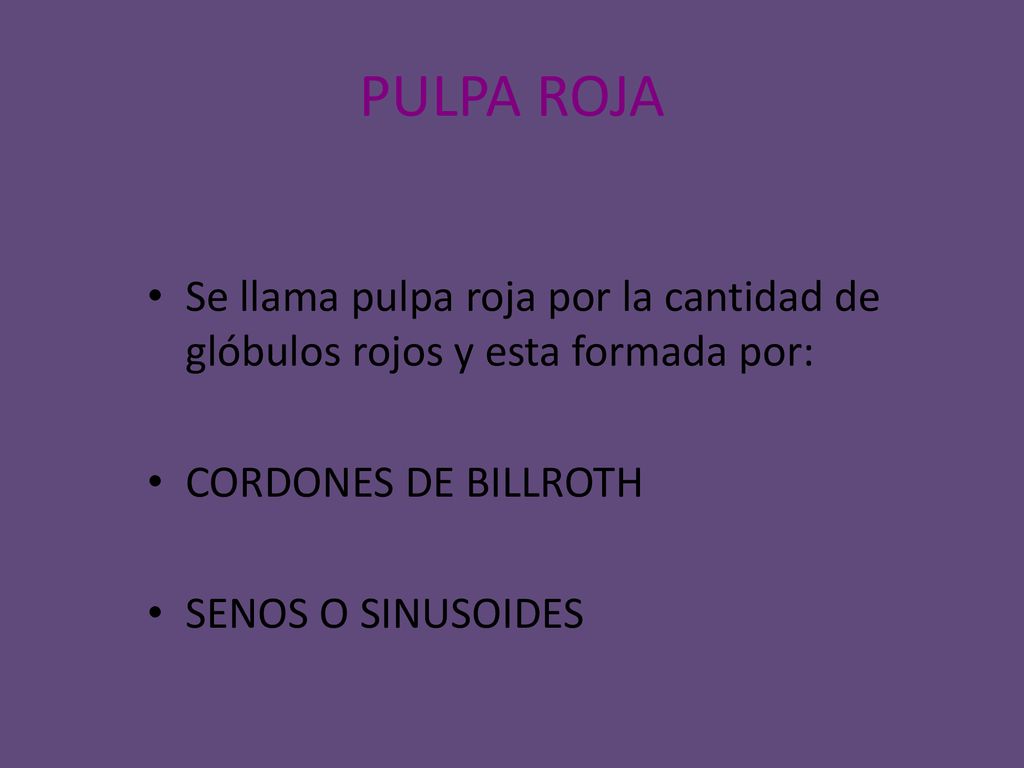 PULPA ROJA Se llama pulpa roja por la cantidad de glóbulos rojos y esta formada por: CORDONES DE BILLROTH.