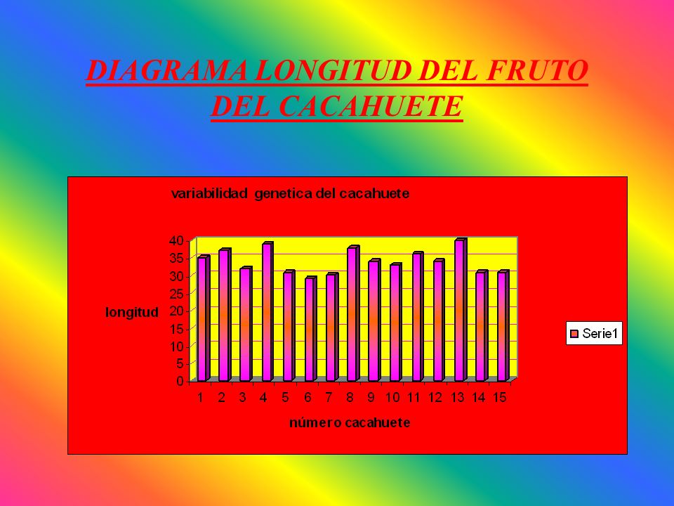 DIAGRAMA LONGITUD DEL FRUTO DEL CACAHUETE
