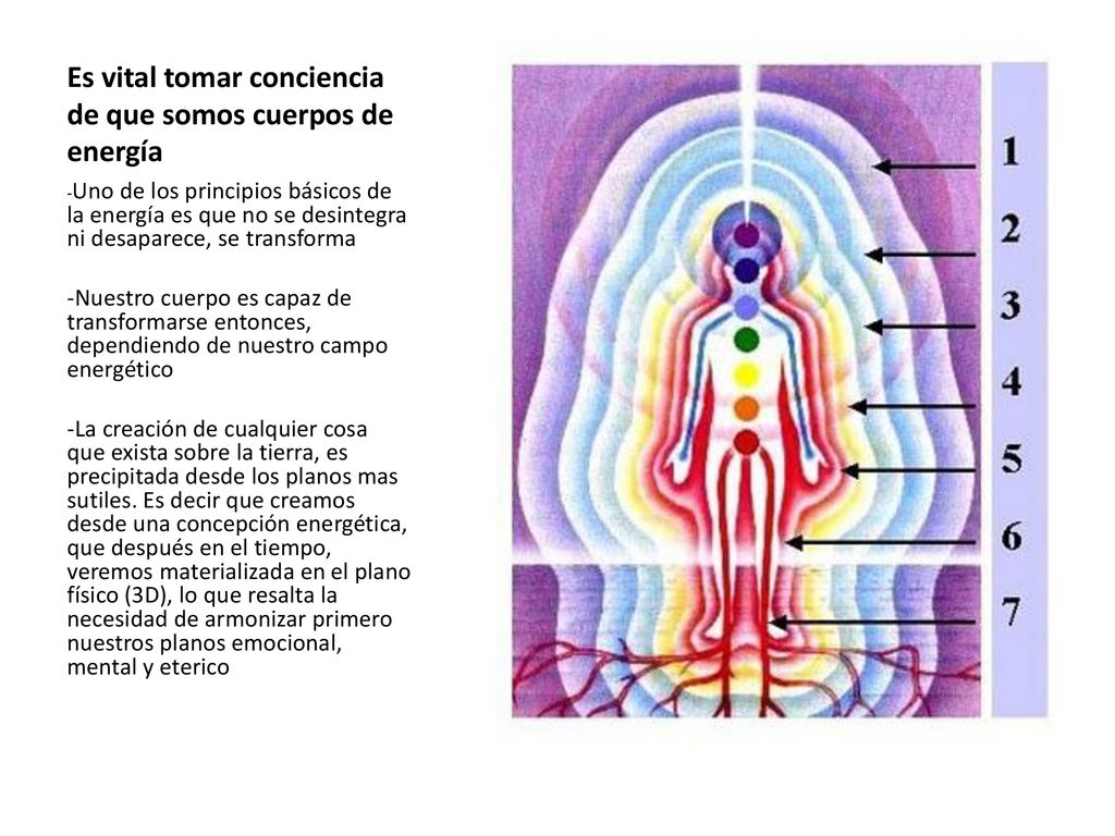 Es vital tomar conciencia de que somos cuerpos de energía