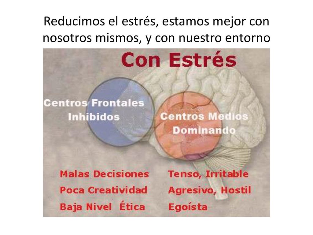 Reducimos el estrés, estamos mejor con nosotros mismos, y con nuestro entorno