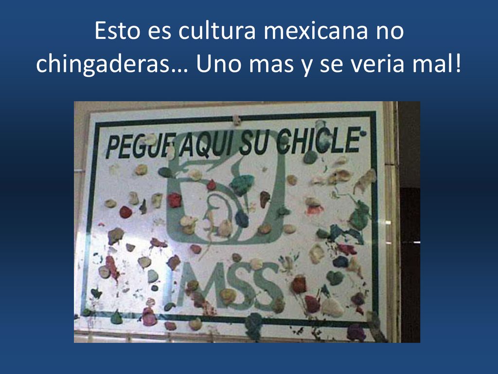 Esto es cultura mexicana no chingaderas… Uno mas y se veria mal!