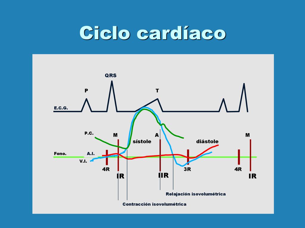 Ciclo cardíaco IR IIR IR QRS P T M A M sístole diástole 4R 3R 4R