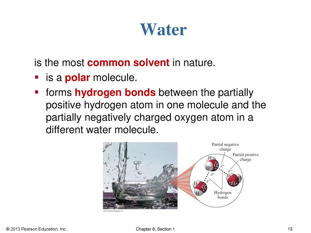 Water is the most common solvent in nature. is a polar molecule.