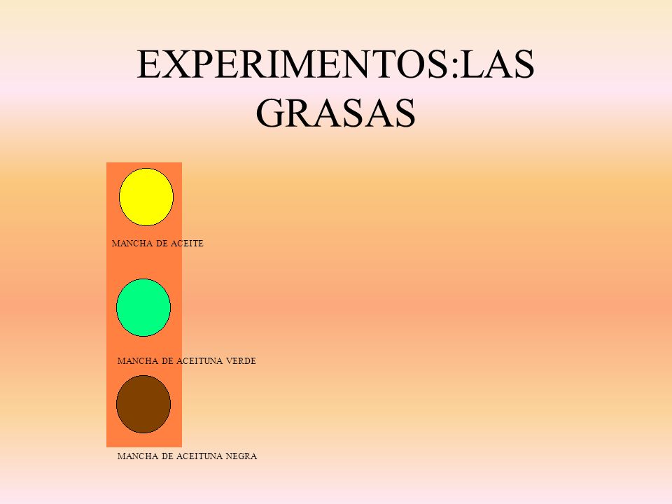 EXPERIMENTOS:LAS GRASAS