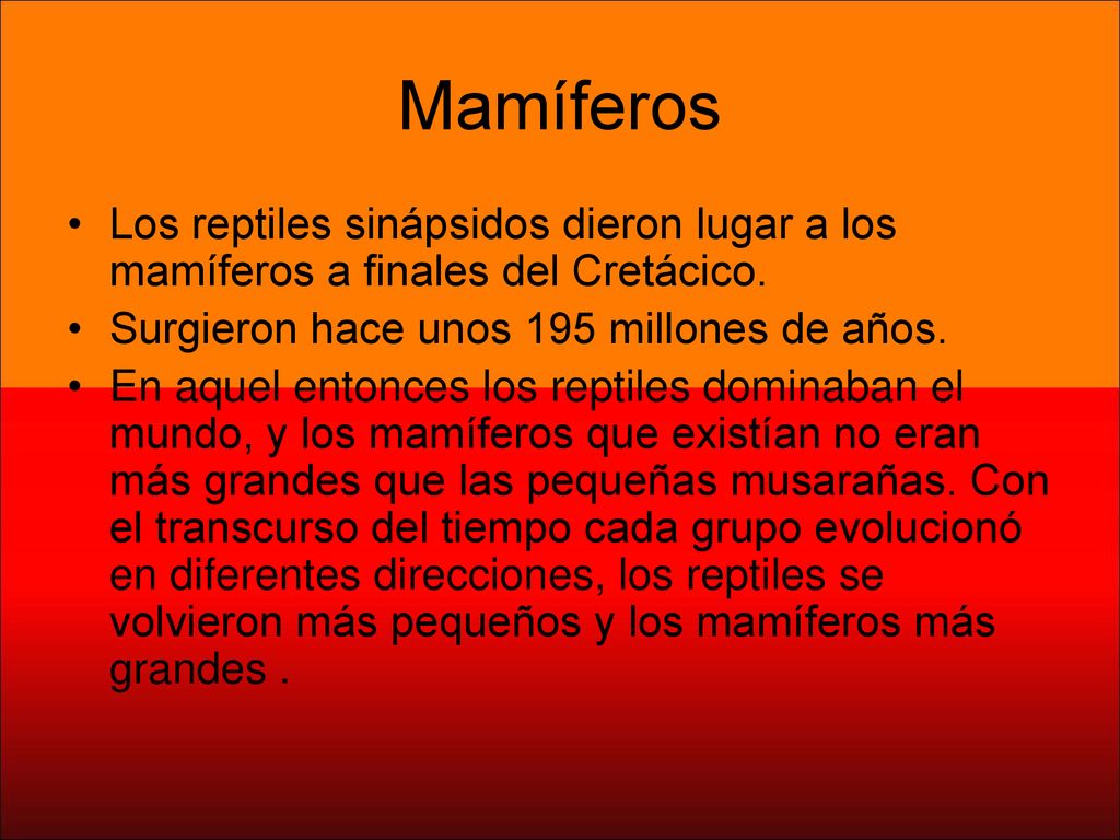 Mamíferos Los reptiles sinápsidos dieron lugar a los mamíferos a finales del Cretácico. Surgieron hace unos 195 millones de años.