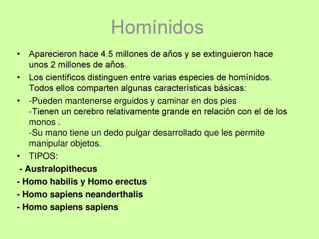 Homínidos Aparecieron hace 4.5 millones de años y se extinguieron hace unos 2 millones de años.