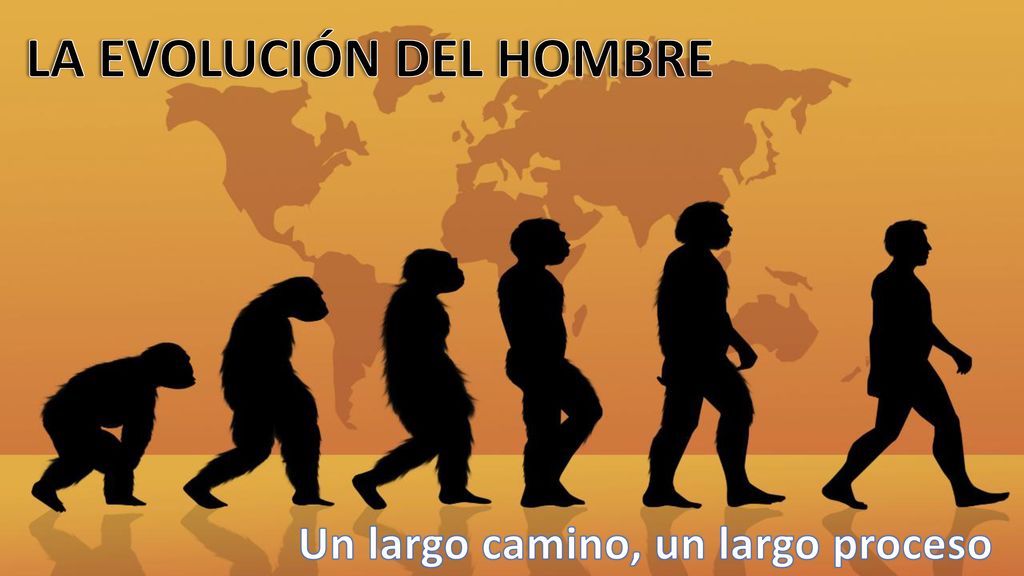 LA EVOLUCIÓN DEL HOMBRE Un largo camino, un largo proceso