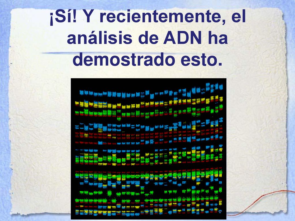 ¡Sí! Y recientemente, el análisis de ADN ha demostrado esto.