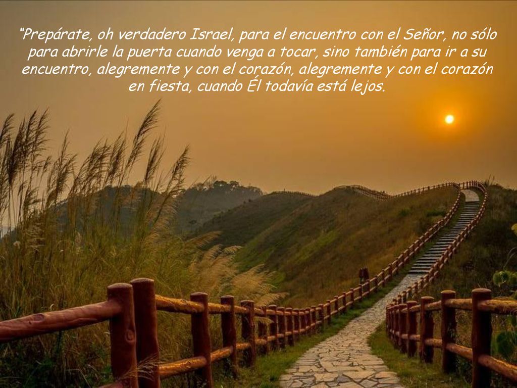 Prepárate, oh verdadero Israel, para el encuentro con el Señor, no sólo para abrirle la puerta cuando venga a tocar, sino también para ir a su encuentro, alegremente y con el corazón, alegremente y con el corazón en fiesta, cuando Él todavía está lejos.