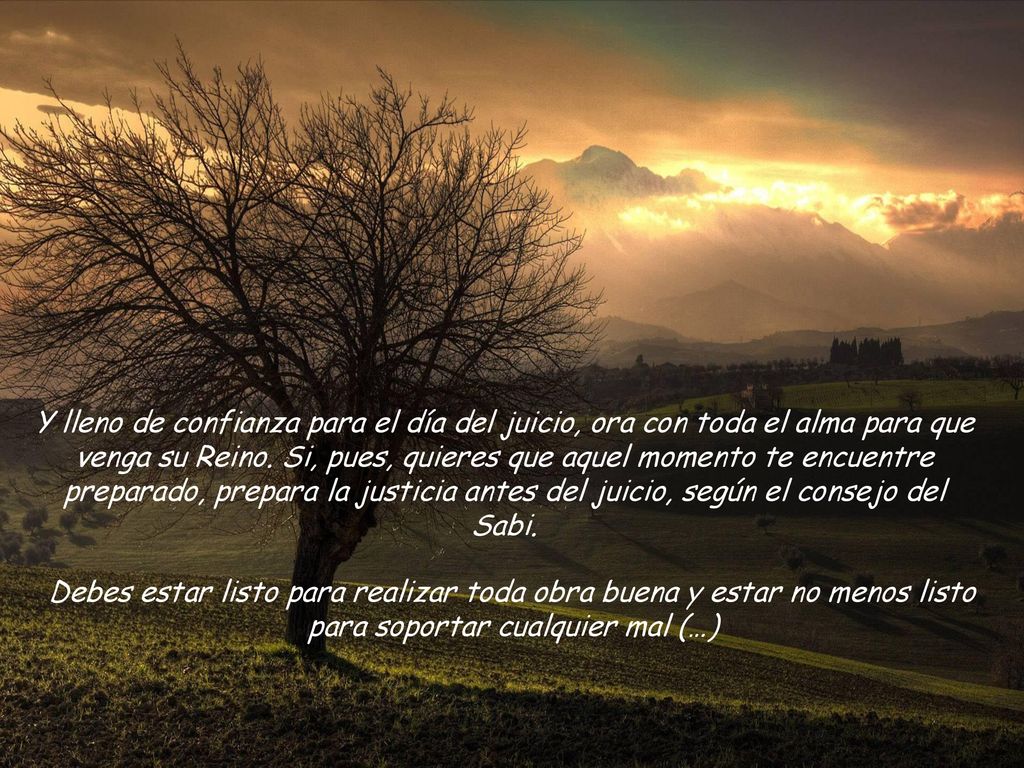 Y lleno de confianza para el día del juicio, ora con toda el alma para que venga su Reino. Si, pues, quieres que aquel momento te encuentre preparado, prepara la justicia antes del juicio, según el consejo del Sabi.