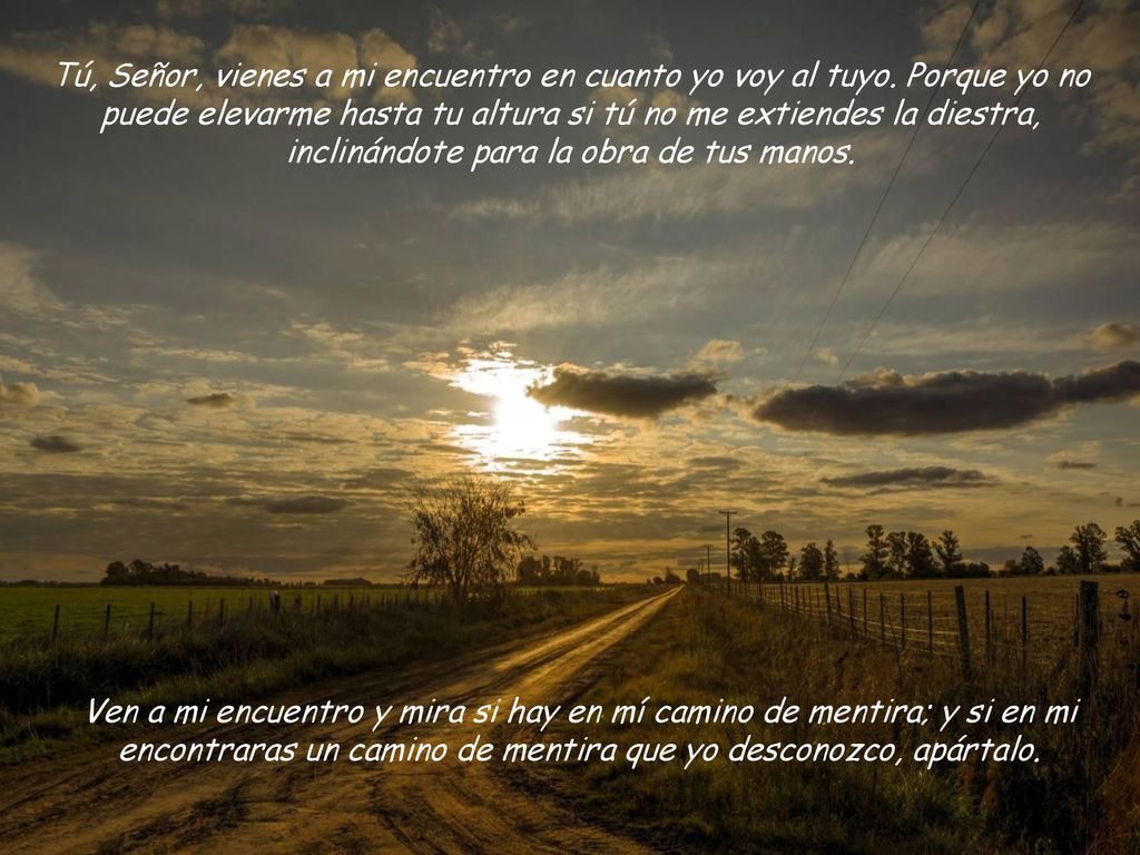 Tú, Señor, vienes a mi encuentro en cuanto yo voy al tuyo