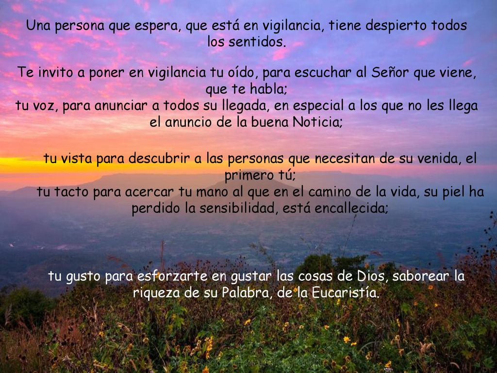 Una persona que espera, que está en vigilancia, tiene despierto todos los sentidos.