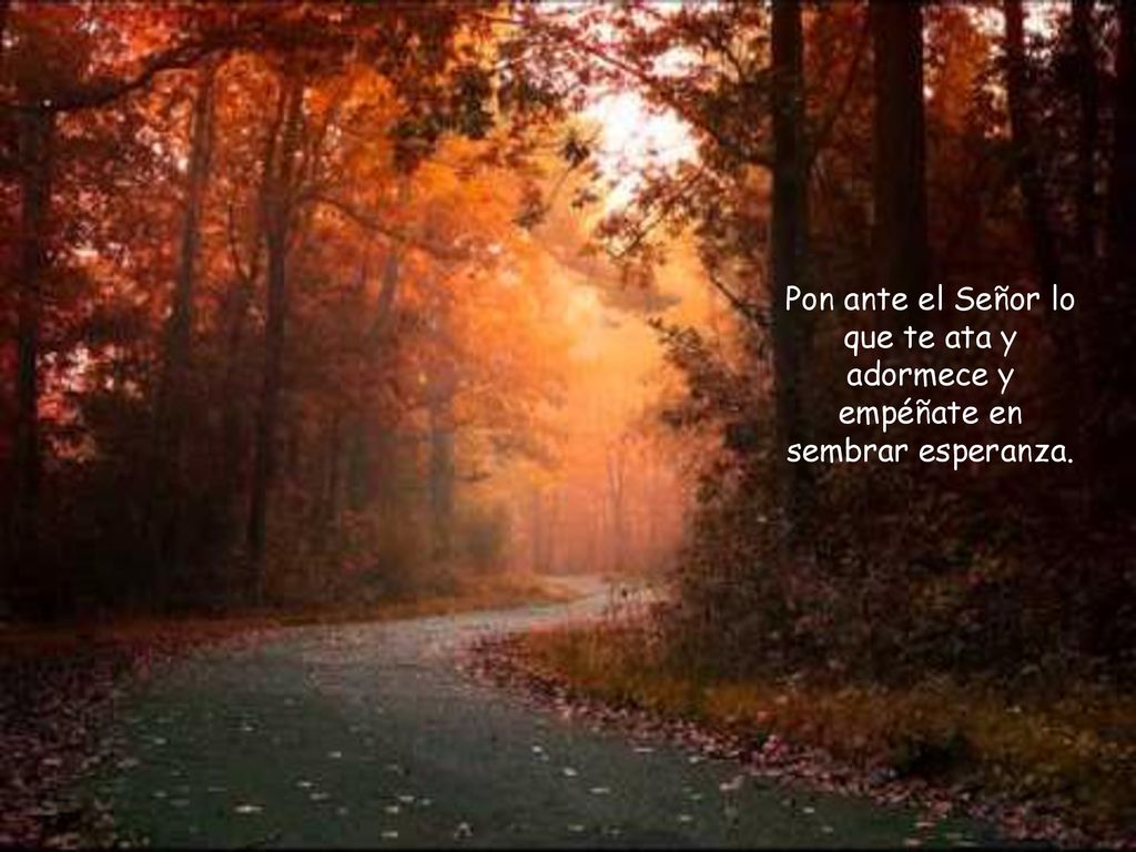 Pon ante el Señor lo que te ata y adormece y empéñate en sembrar esperanza.