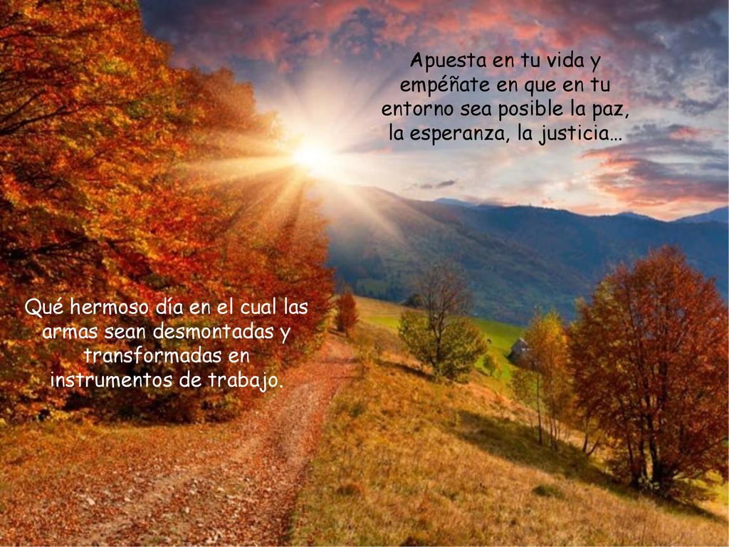 Apuesta en tu vida y empéñate en que en tu entorno sea posible la paz, la esperanza, la justicia…
