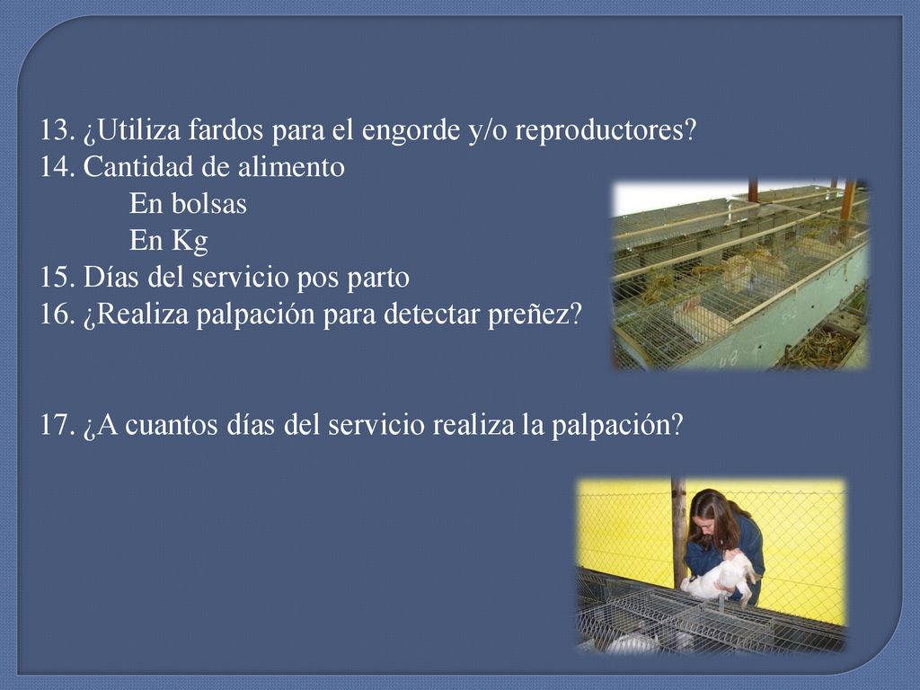 ¿Utiliza fardos para el engorde y/o reproductores