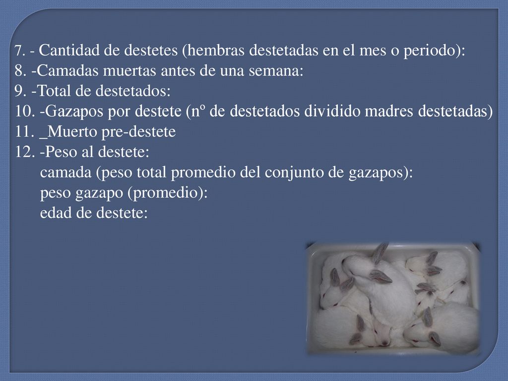 8. -Camadas muertas antes de una semana: 9. -Total de destetados: