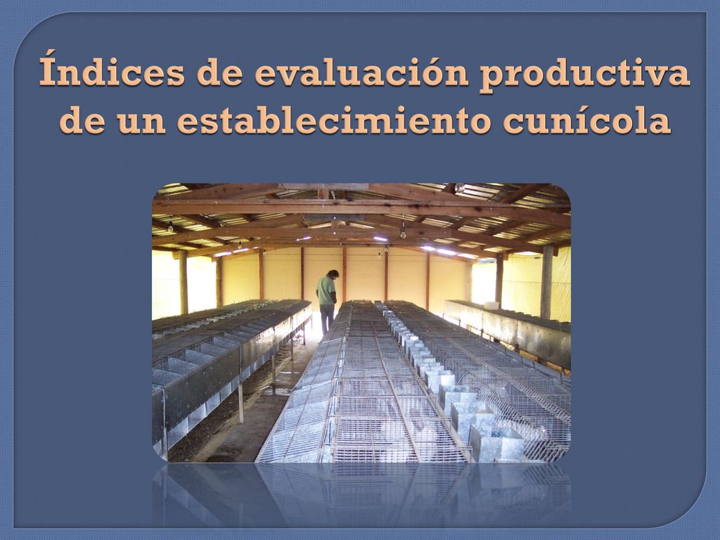 Índices de evaluación productiva de un establecimiento cunícola