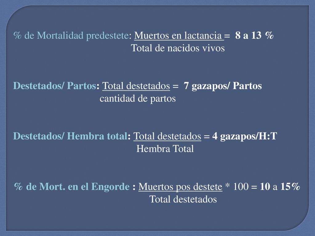 % de Mortalidad predestete: Muertos en lactancia = 8 a 13 %