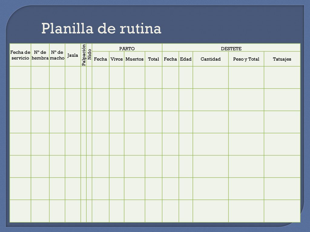 Planilla de rutina Fecha de servicio Nº de hembra Nº de macho Jaula
