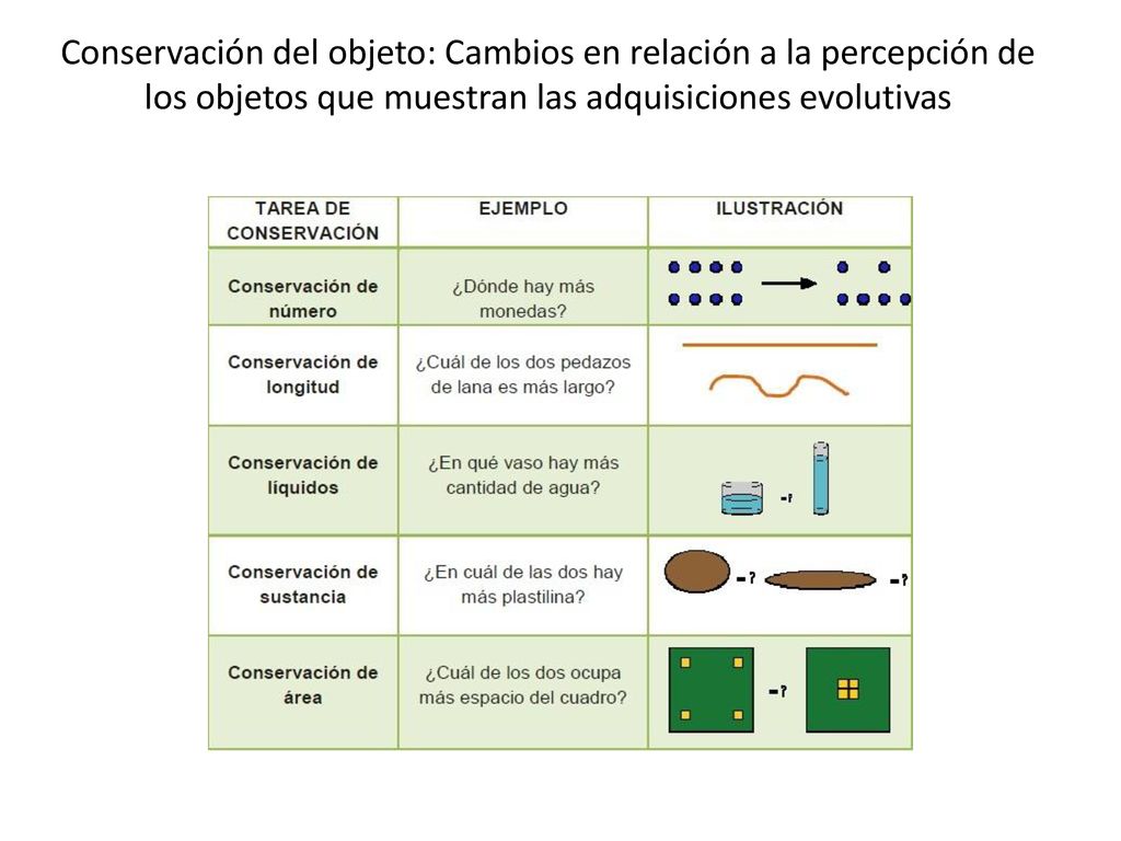Conservación del objeto: Cambios en relación a la percepción de los objetos que muestran las adquisiciones evolutivas
