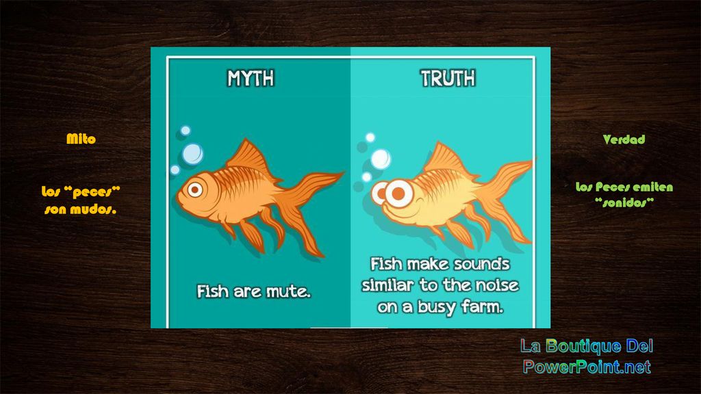 Los Peces emiten sonidos La Boutique Del PowerPoint.net