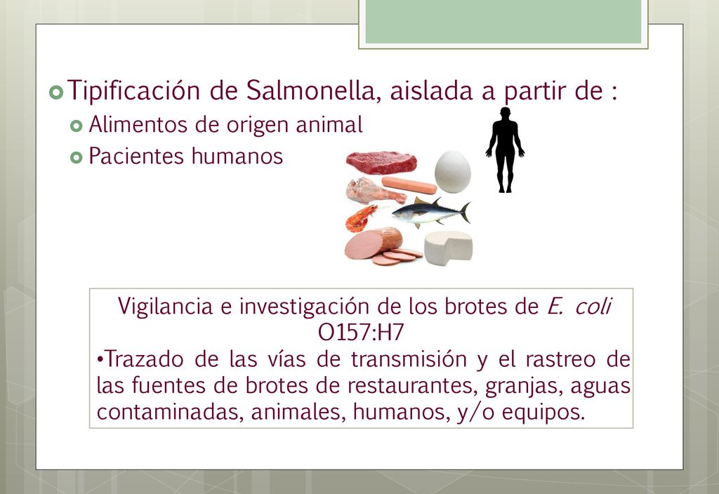 Vigilancia e investigación de los brotes de E. coli O157:H7