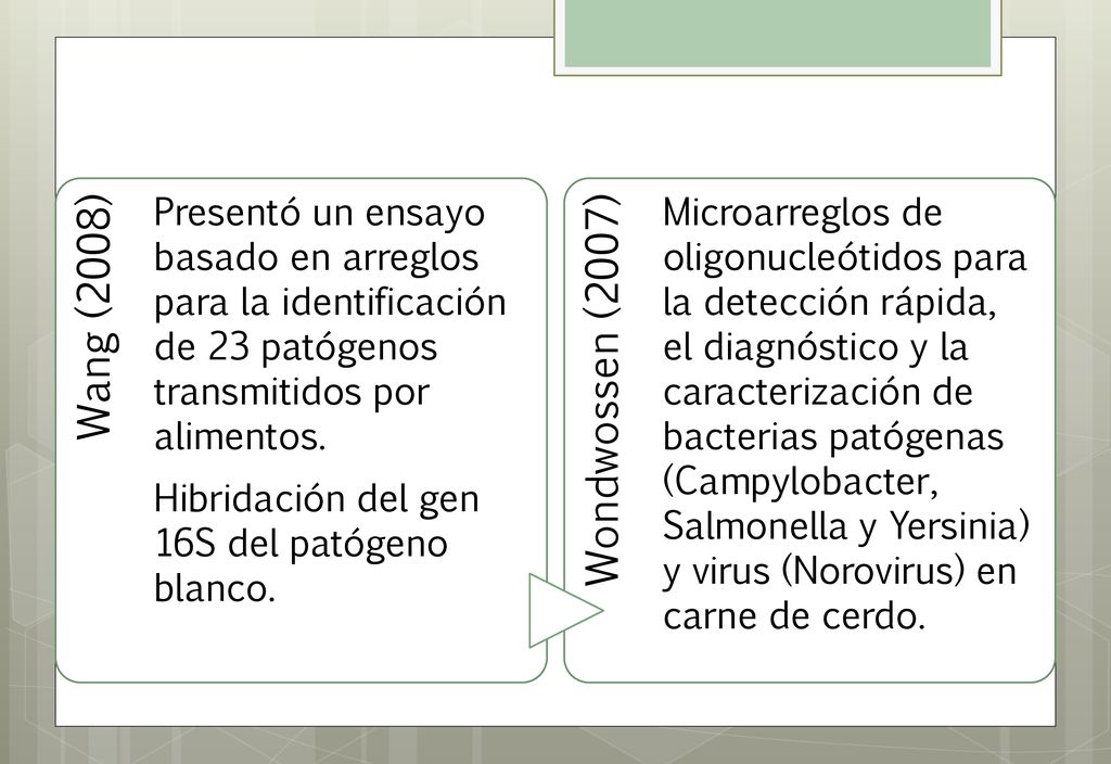 Wang (2008) Presentó un ensayo basado en arreglos para la identificación de 23 patógenos transmitidos por alimentos.