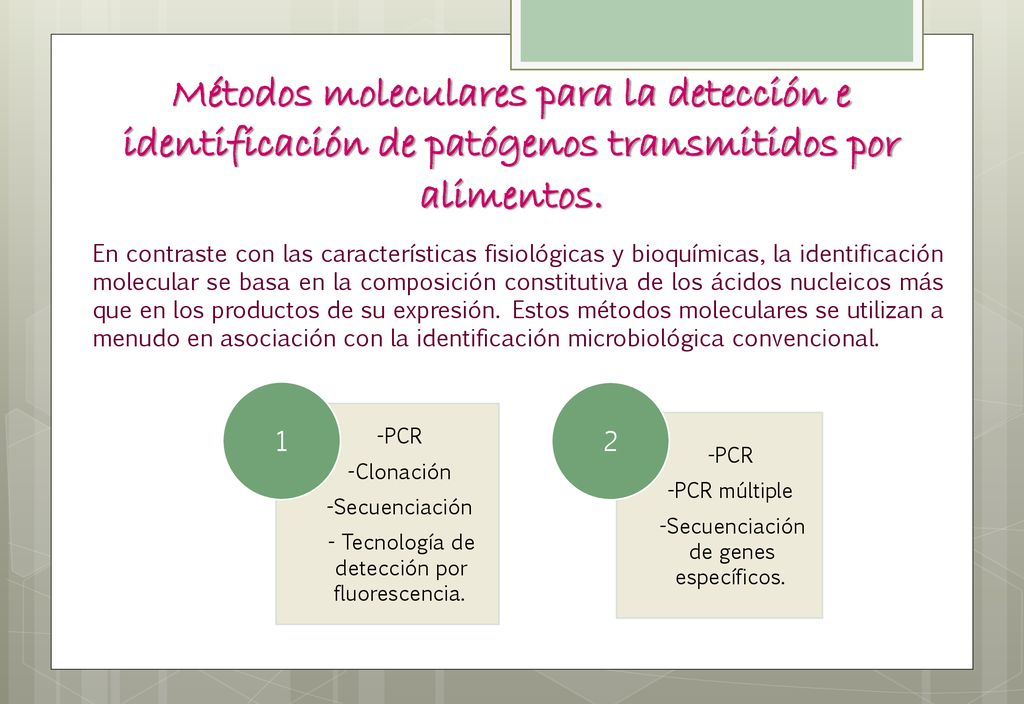 Métodos moleculares para la detección e identificación de patógenos transmitidos por alimentos.