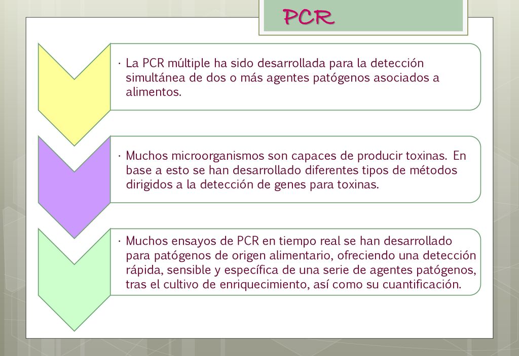 PCR La PCR múltiple ha sido desarrollada para la detección simultánea de dos o más agentes patógenos asociados a alimentos.