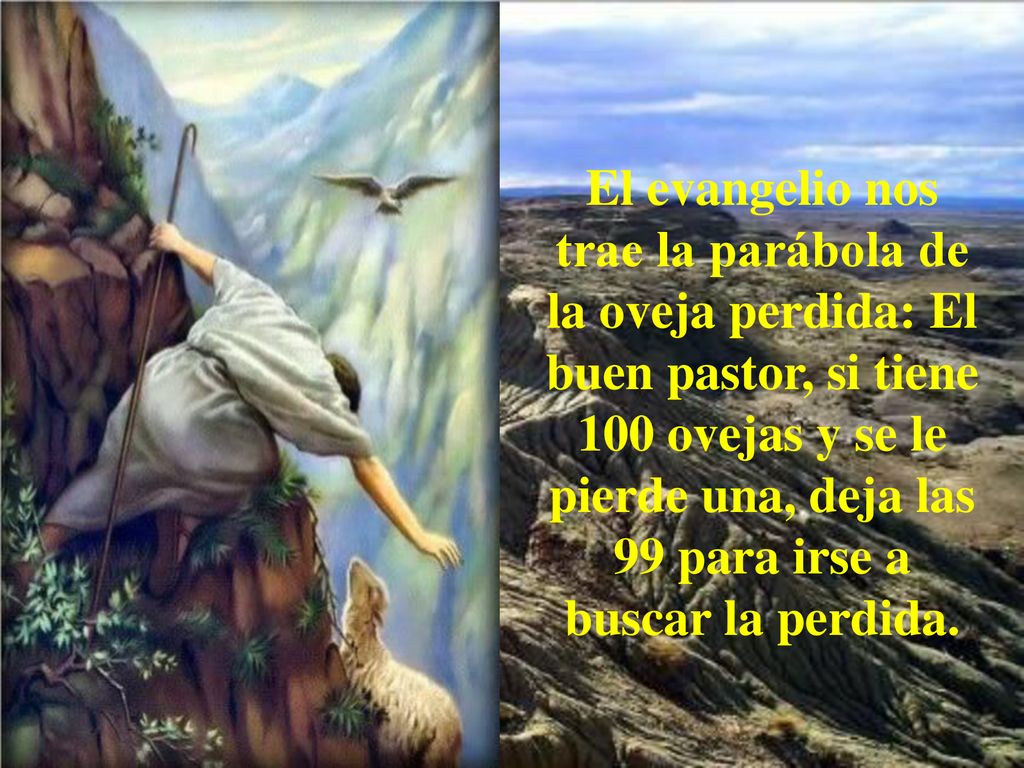 El evangelio nos trae la parábola de la oveja perdida: El buen pastor, si tiene 100 ovejas y se le pierde una, deja las 99 para irse a buscar la perdida.