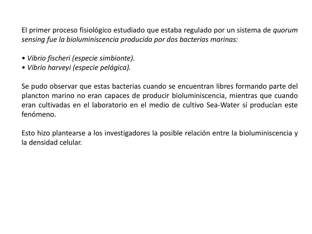 El primer proceso fisiológico estudiado que estaba regulado por un sistema de quorum sensing fue la bioluminiscencia producida por dos bacterias marinas: