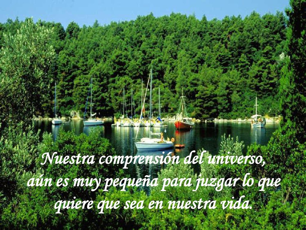 Nuestra comprensión del universo, aún es muy pequeña para juzgar lo que quiere que sea en nuestra vida.