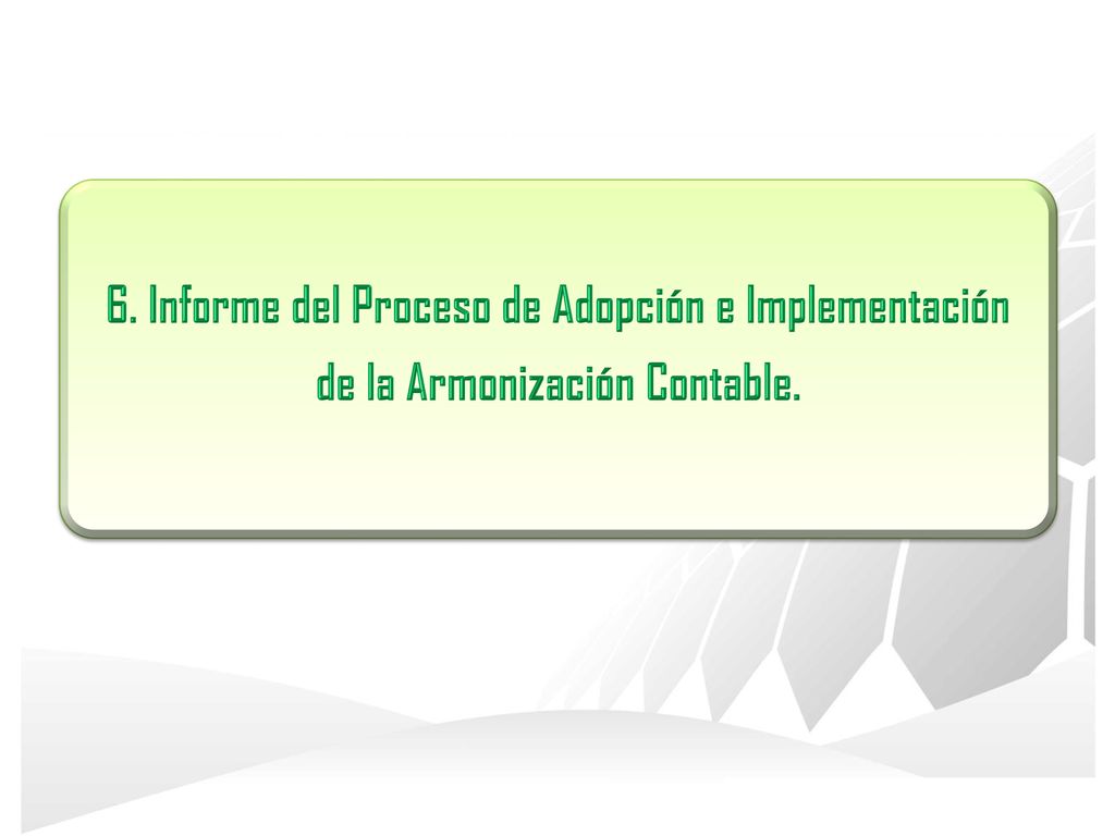 6. Informe del Proceso de Adopción e Implementación de la Armonización Contable.