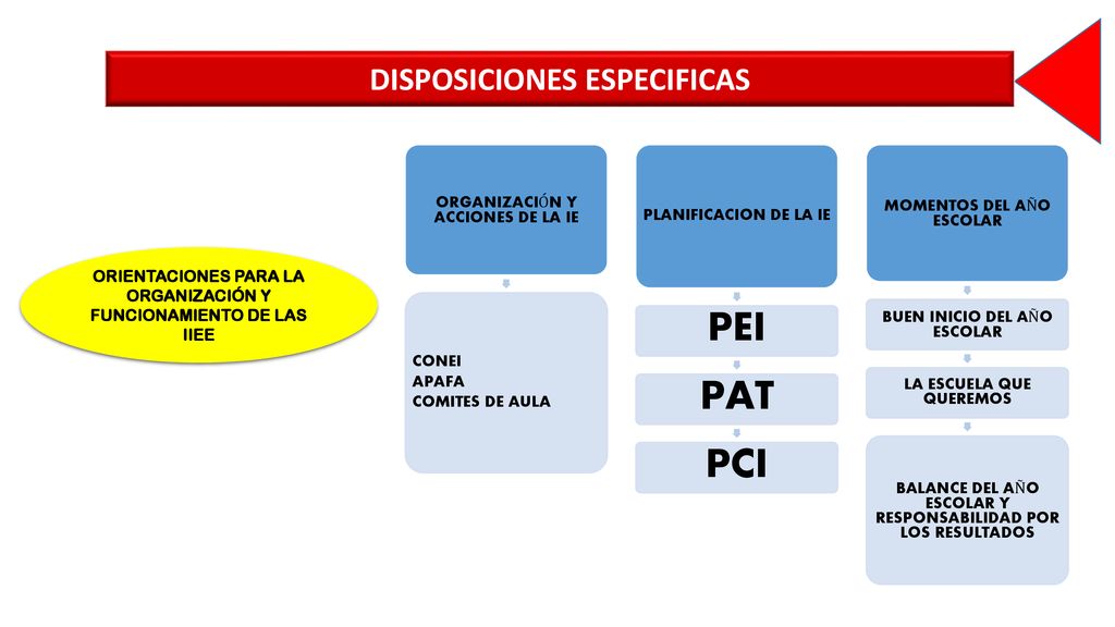 PEI PAT PCI DISPOSICIONES ESPECIFICAS ORGANIZACIÓN Y ACCIONES DE LA IE